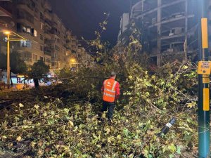 Belediye ekipleri, yağışın oluşturduğu olumsuzluklara 81 araç ve 323 personelle hızla müdahale etti