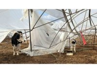 Serik’te hasar tespit çalışmaları sürüyor