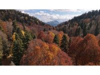 Adana’da sonbahar güzelliği: Adeta doğa sanata dönüştü