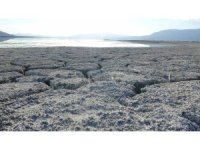 Uzmanlardan kritik uyarı: "Artık göllerimizi kaybetmek üzereyiz"