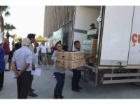 Mersin’de üreticiye fide ve güneş paneli desteği