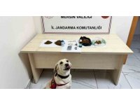 Mersin’de uyuşturucu operasyonu: 5 şüpheli tutuklandı