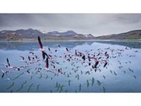 2 yıl önceye kadar flamingoları ağırlayan gölde şimdi sadece ayak izleri kaldı