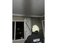 ARsuz’da eve giren yarasayı itfaiye yakaladı