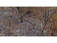 Yaşlı adam, bahçesini temizlerken yangında hayatını kaybetti