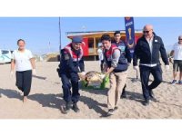 Tedavisi tamamlanan caretta caretta denizin maviliğine kulaç açtı