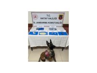 İskenderun’da Jandarma’dan uyuşturucu operasyonu