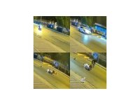 Mersin’de motosiklet kazasında köpeğin sadakati duygulandırdı