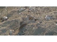 Burdur’da belediyenin kazı çalışması sırasında insan kemikleri bulundu