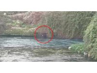 Düden Çayı’na düşen şahsı itfaiye ekipleri kurtardı