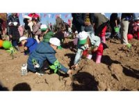 Burdur’da "Geleceğe nefes insanlığa nefes" diyerek 13 bin fidan toprakla buluşturuldu