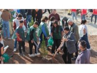 Mersin’de 500 fidan toprakla buluşturuldu