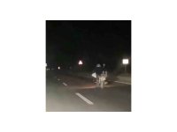 Motosikleti yüzüstü uzanarak kullanan sürücüye 5 bin 146 TL ceza