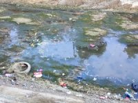 Sulama kanalındaki balıklar telef olmaya devam ediyor