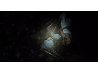 Yürüyüş esnasında uçurumdan düşen Ukraynalı 2 turist kurtarıldı