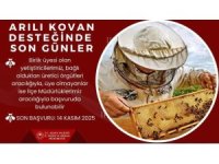 ’Arılı kovan’ desteği için son gün
