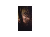 Hatay’da yıldırım düşmesiyle çıkan orman yangına müdahale devam ediyor