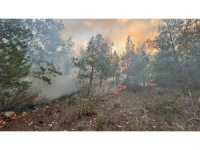 Bozyazı’da orman yangını kontrol altına alındı