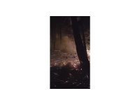 Hatay’da yıldırımın düştüğü ormanlık alandaki yangın 16’ncı saatte kontrol altına alındı