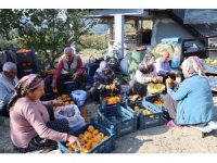 Adana’nın hurmalı köyü, açık fabrikaya dönüştü