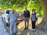 Hatay’da yaralı leylek tedavi altına alındı