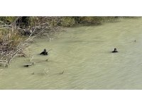 11 gün önce kaybolan engelli şahsın Göksu’da cansız bedeni bulundu