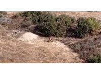 Adana’da nefes kesen kovalamaca: Firari hükümlü boş arazide yakalandı