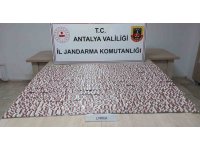 Finike’de uyuşturucu operasyonu: 1 tutuklama