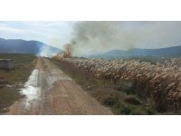 Bucak’ta sazlık alanda yangın