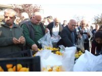 Mandalinanın fiyatı 2 TL’ye düşünce tonlarca ürünü vatandaşlara ücretsiz dağıttılar