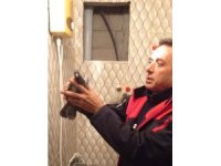 İskenderun’da itfaiye ekiplerinden güvercin kurtarma operasyonu