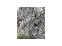 Burdur’da mahsur kalan keçiler ekipler tarafından kurtarıldı