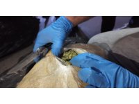 Yurtdışından gelen tırda 223 kilo uyuşturucu ele geçirildi: 1 tutuklama