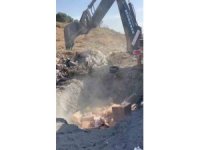 Sucuk, peynir, ketçaptan oluşan 1 ton gıda malzemesi toprağa gömülerek imha edildi