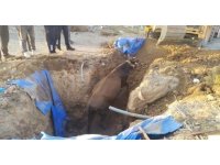 Çukura düşen büyükbaşı itfaiye kurtardı