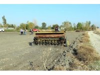 Mera alanları işgalden kurtarılıyor