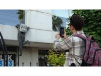 Penceredeki cansız manken ‘hırsız’ı görenler, polisi arıyor, taş atıyor