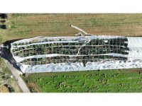 Antalya’da hortumun seralara verdiği zararın boyutu gün yüzüne çıktı