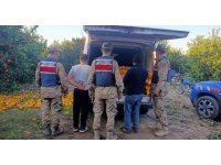 Portakal hırsızları suçüstü yakalandı