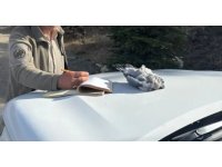 Burdur’da kaçak avcılar ekiplere yakalandı