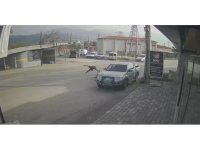 Ciple çarpışan motosikletin sürücüsü metrelerce savruldu