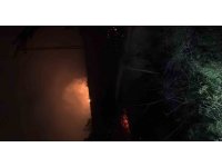 Hatay’da çıkan otluk yangını söndürüldü