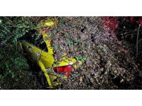 Sürücüsünün içinde olduğu otomobilin üzerine ağaç devrildi