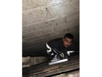 Havalandırma boşluğuna düşen yavru kediyi itfaiye kurtardı