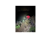 Su kanalına düşen buzağıyı itfaiye kurtardı