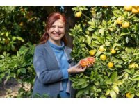 Mersin kan portakalında hedef AB tescili