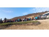 Öğrenciler, orman yangınında zarar gören alana fidan dikti