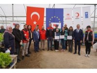 Adana’da topraksız marul yetiştiriciliği başladı