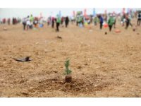 ATÜ yeşil kampüs olma yolunda ilerliyor: Dikilen fidan sayısı 22 bin 500’ü buldu