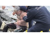 Zıpkın bacağına saplandı, ayağında zıpkınla hastaneye götürüldü